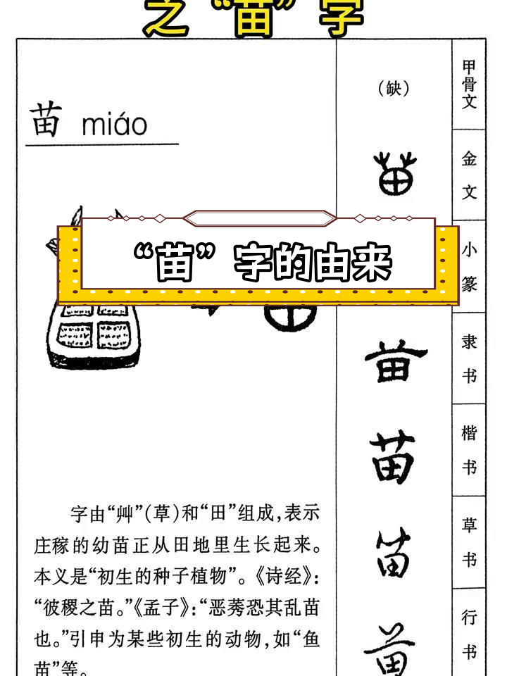 汉字演变:从甲骨文到"苗"字