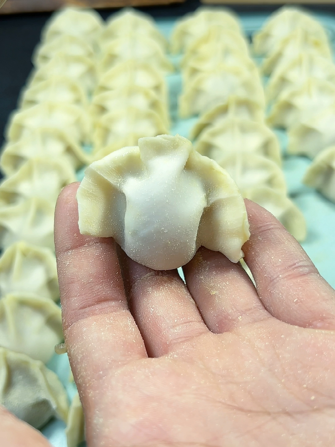 大肚水饺慢动作,学会了两秒包一个