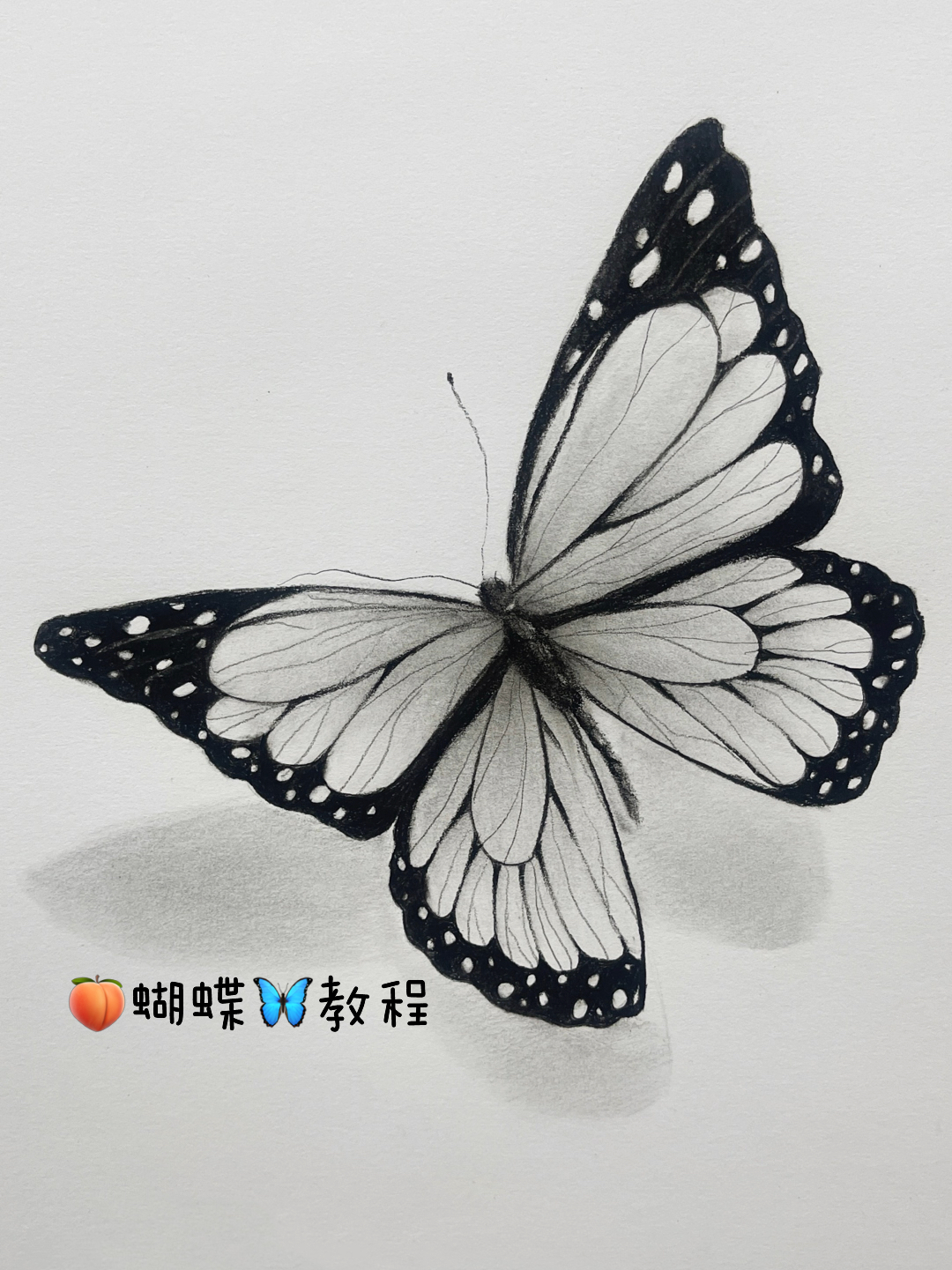 简单的蝴蝶画法图片