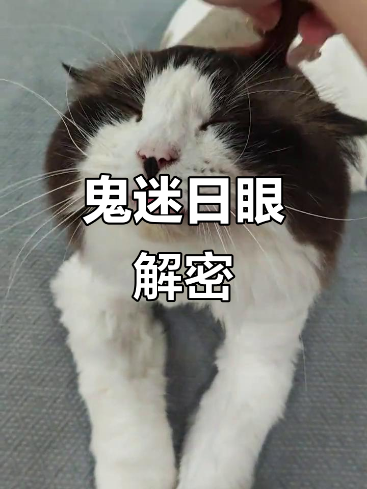 鬼迷日眼,神秘事件大揭秘