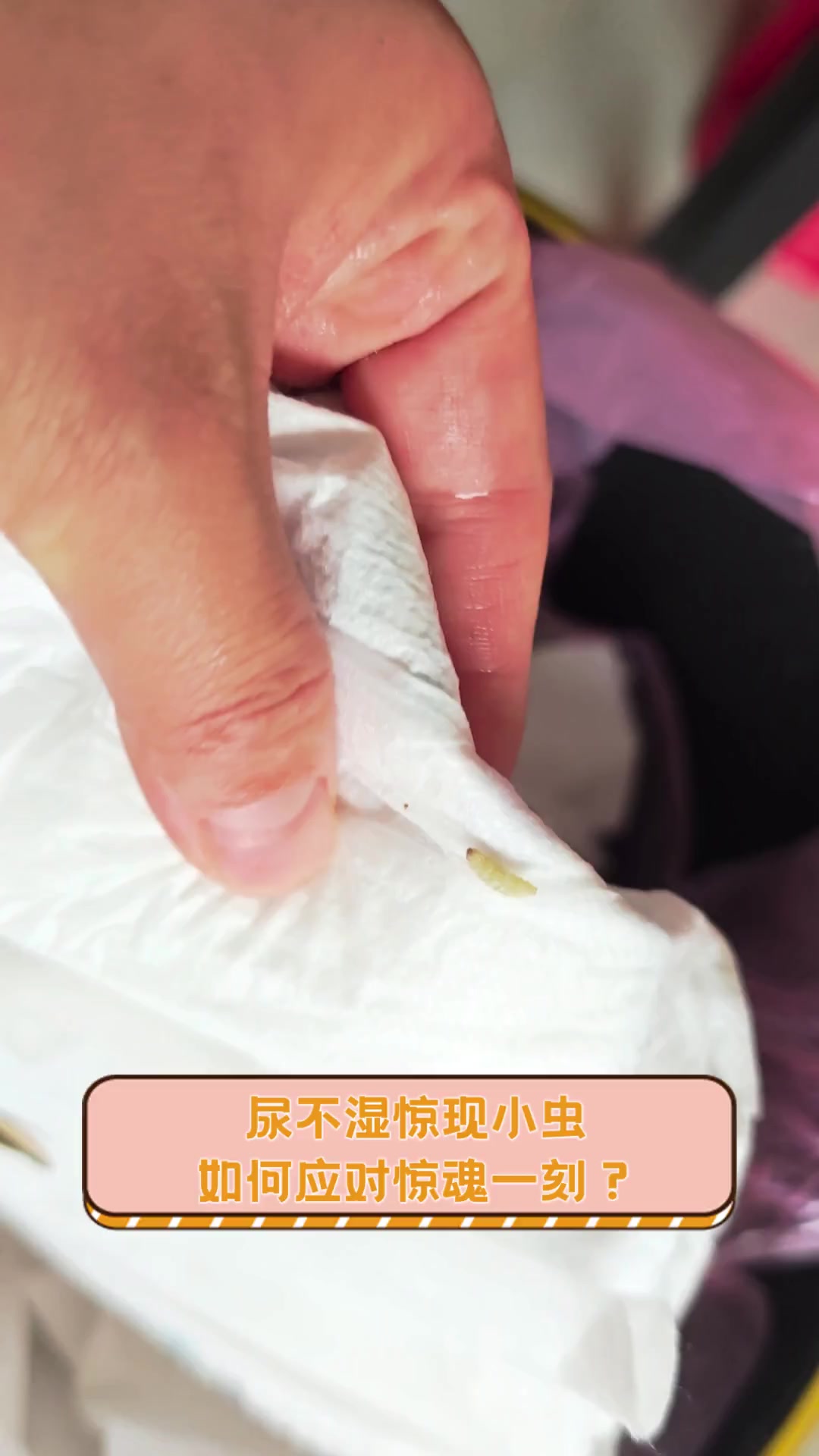 尿不湿惊现小虫,如何应对惊魂一刻?