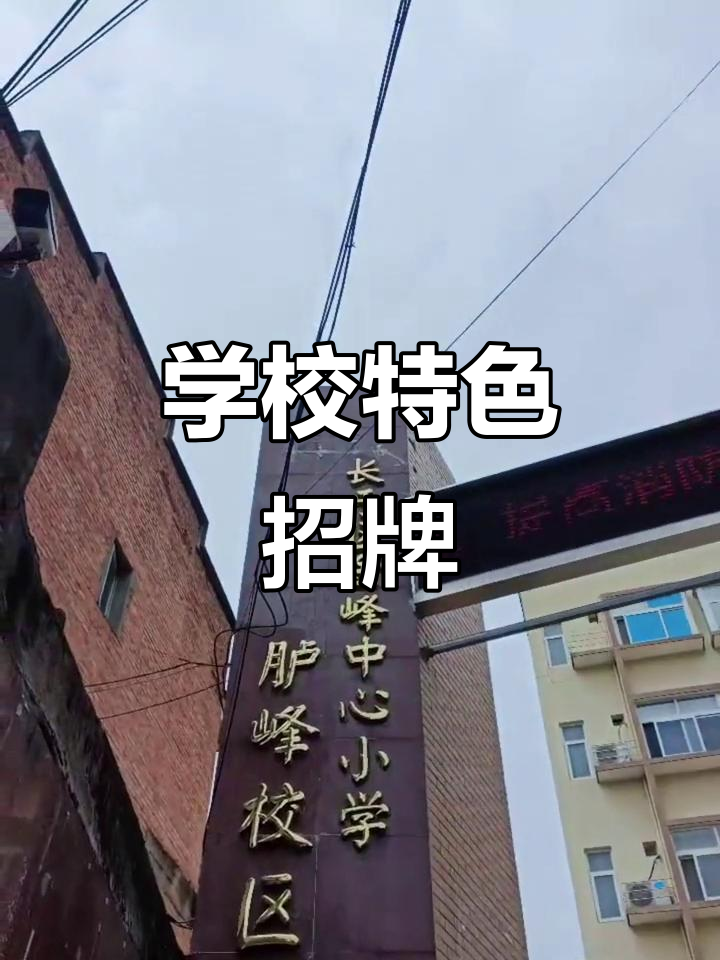 第五天打卡,发现一所独特的高大招牌学校