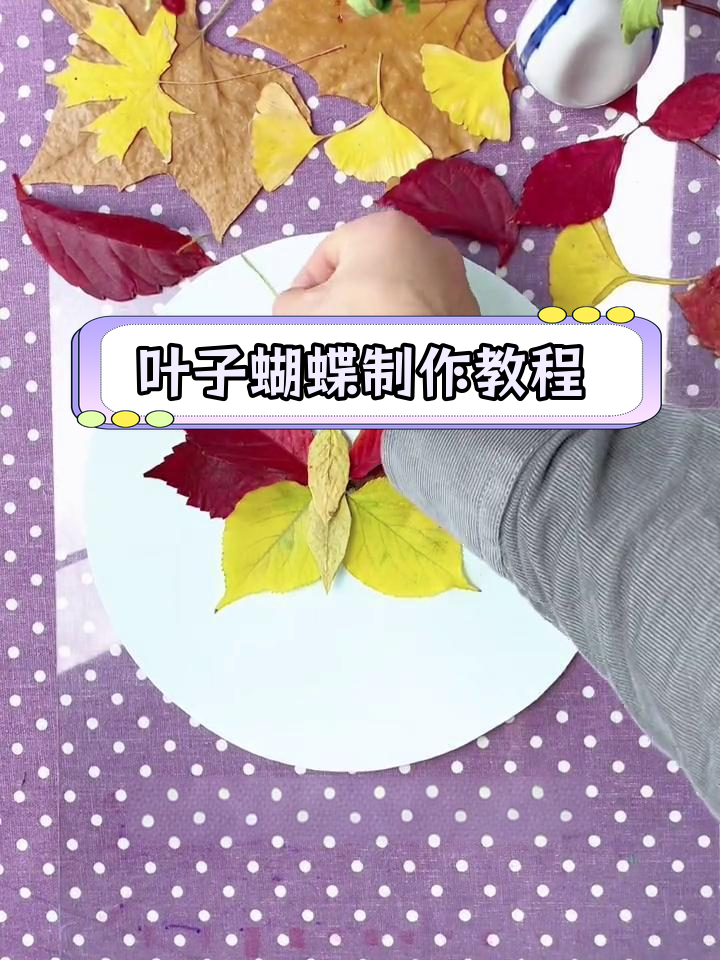 树叶标本制作方法简单图片