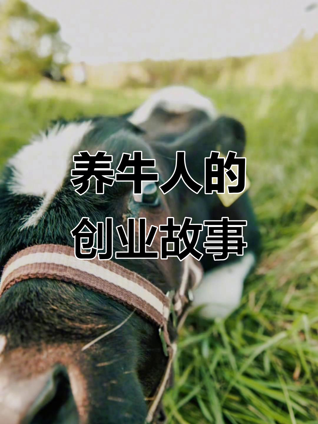 养殖致富创业(养殖致富新项目新点子)