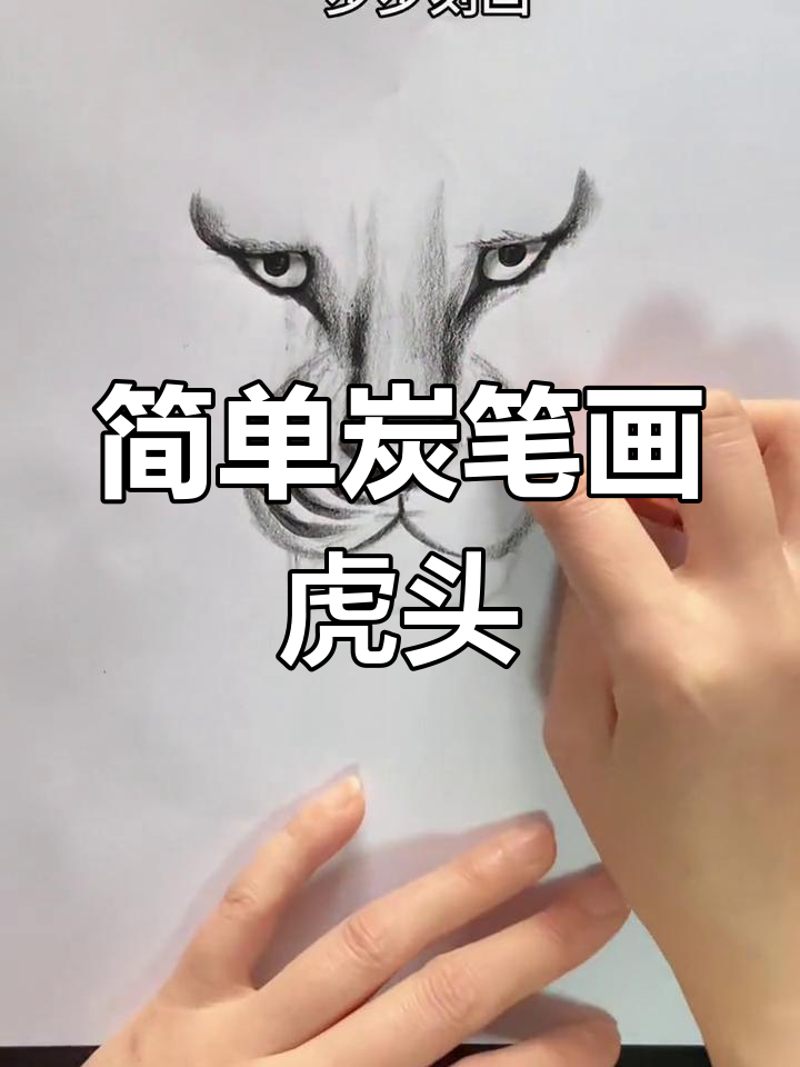 素描老虎头绘制技巧分享