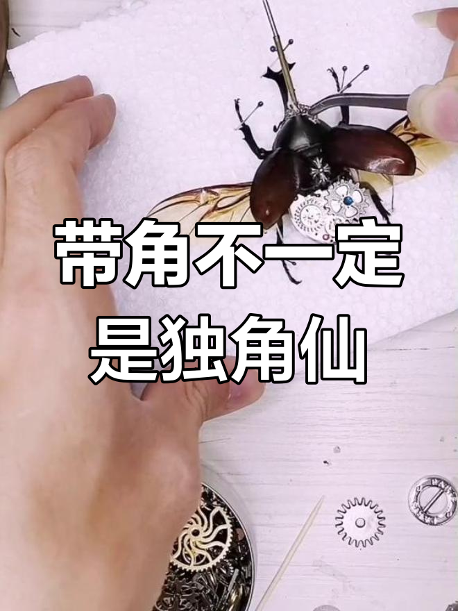 不是所有甲虫都叫独角仙,没角的才是屎壳郎