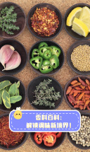 香料百科：解锁调味新境界！