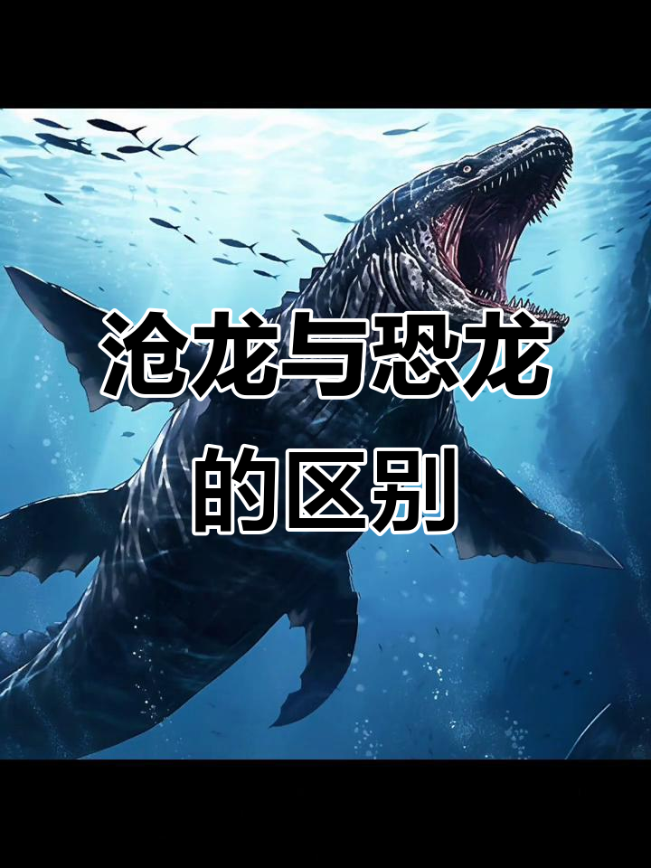沧龙不是恐龙,它是海生爬行动物