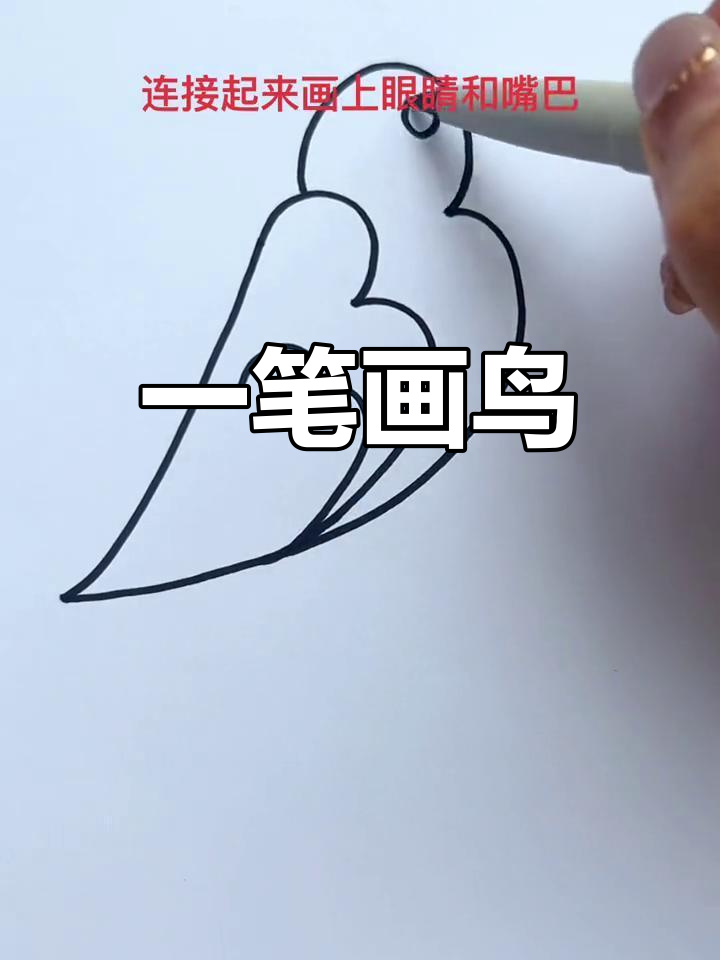 画小鸟简单又可爱