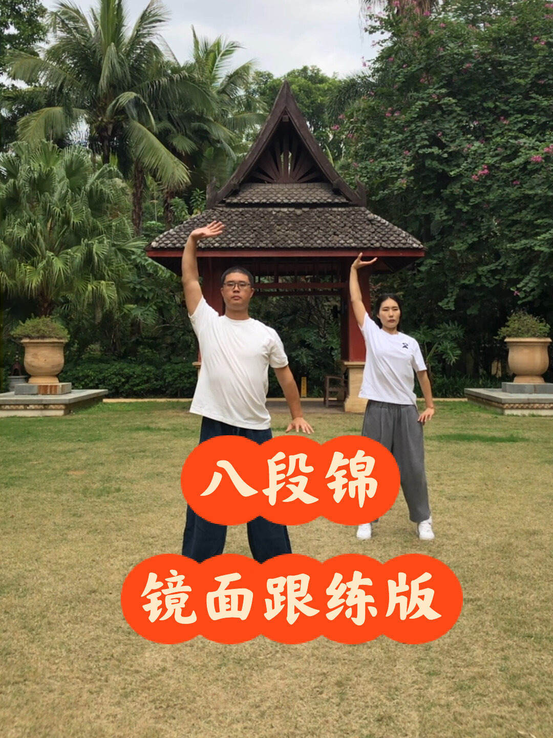 八段锦全套镜面示范呼吸跟练全搞定