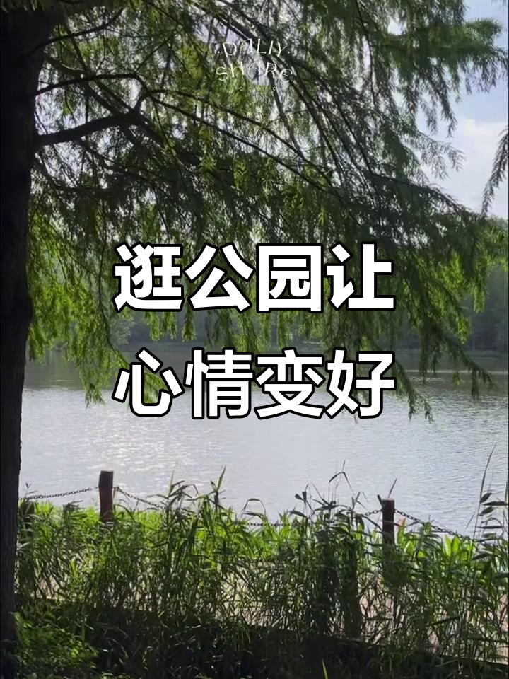心情犹如天气今日情况