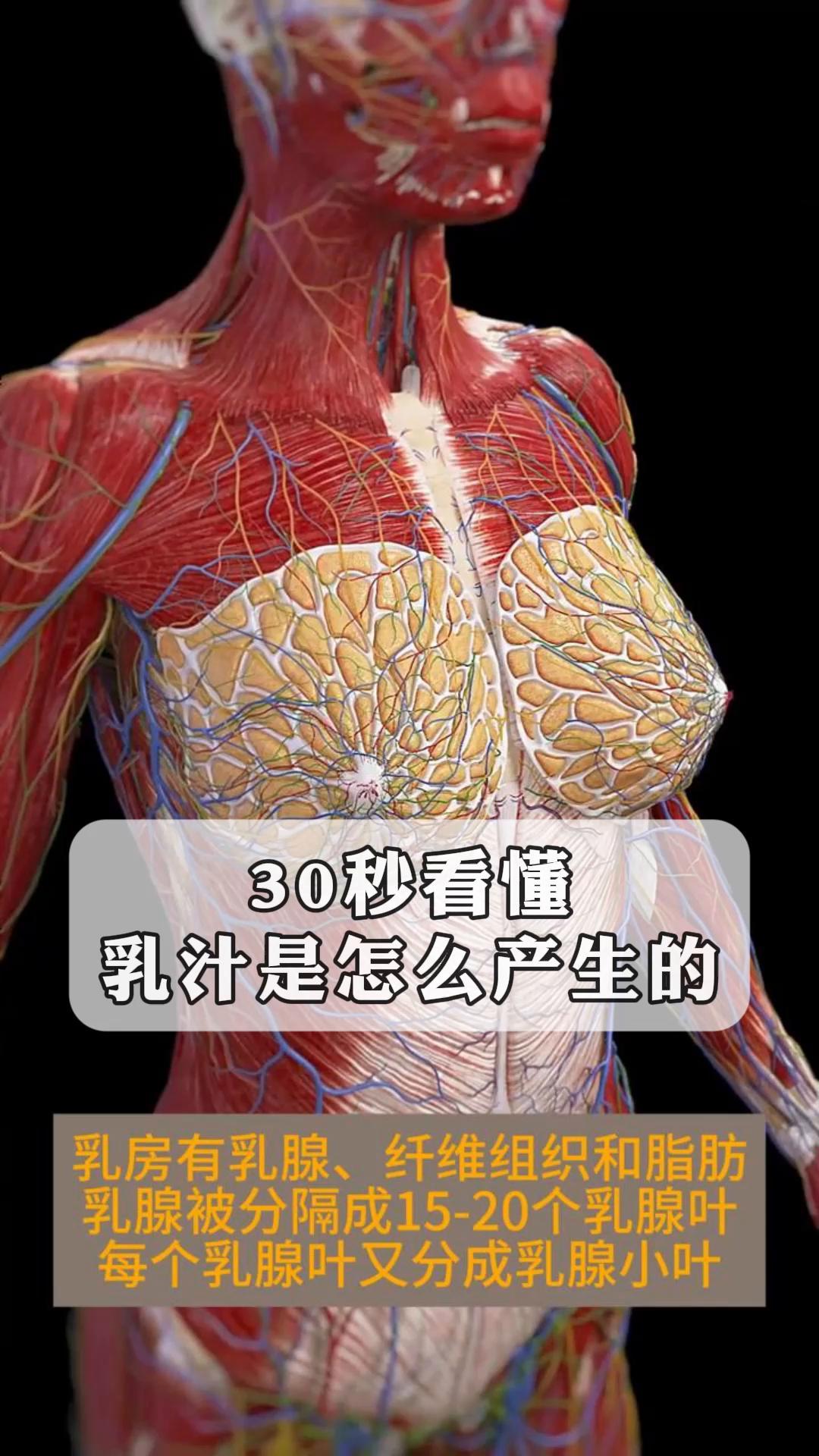 为什么会有母乳