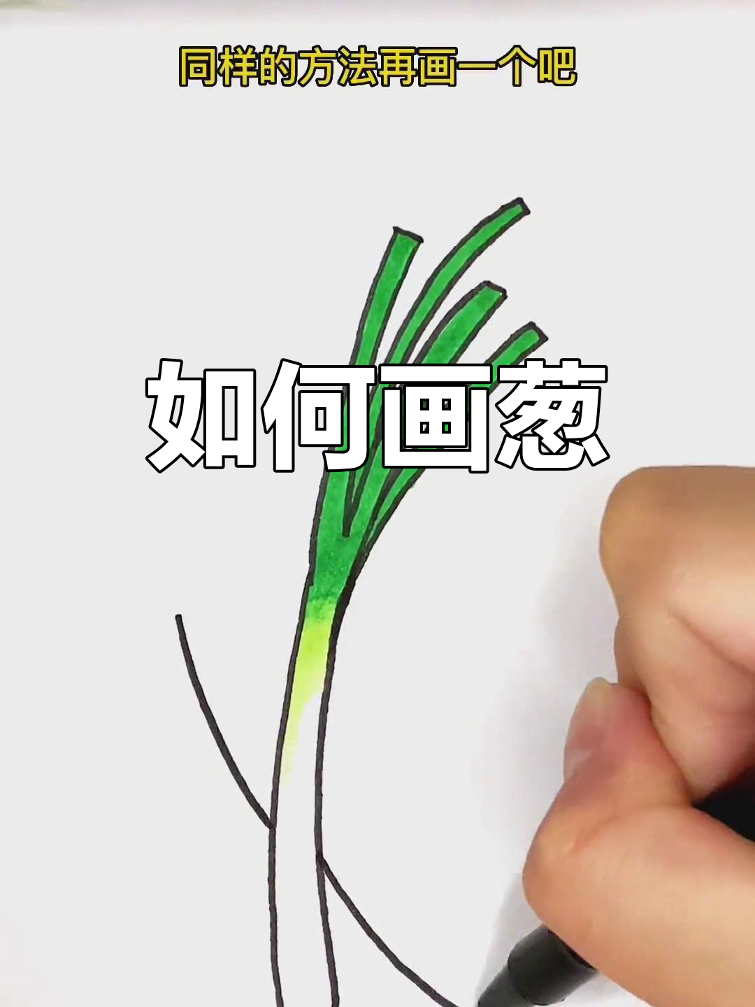 绘制葱的简单步骤