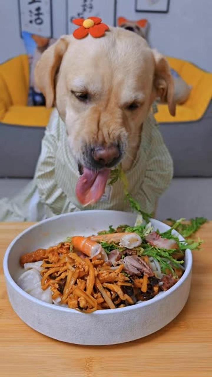 狗狗干饭,狗吃的比我好系列,我吃啥狗吃啥