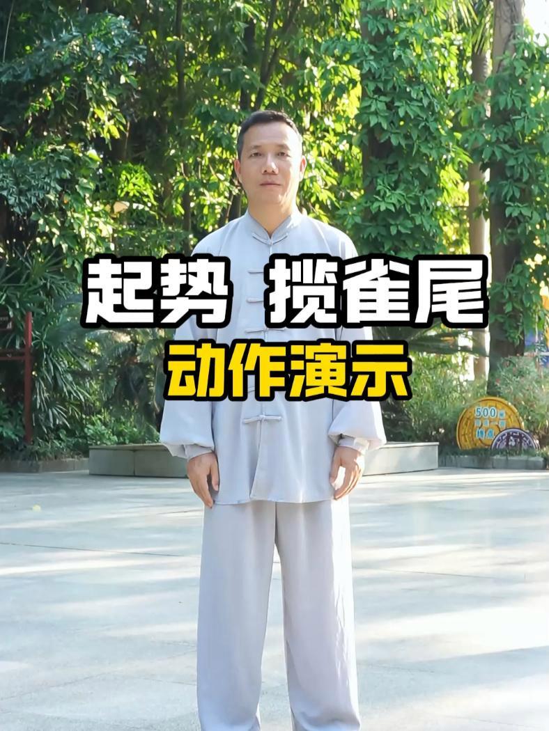 关于杨氏太极拳新段位的信息 关于杨氏太极拳新段位的信息（关于杨氏太极拳新段位的信息有哪些） 太极拳