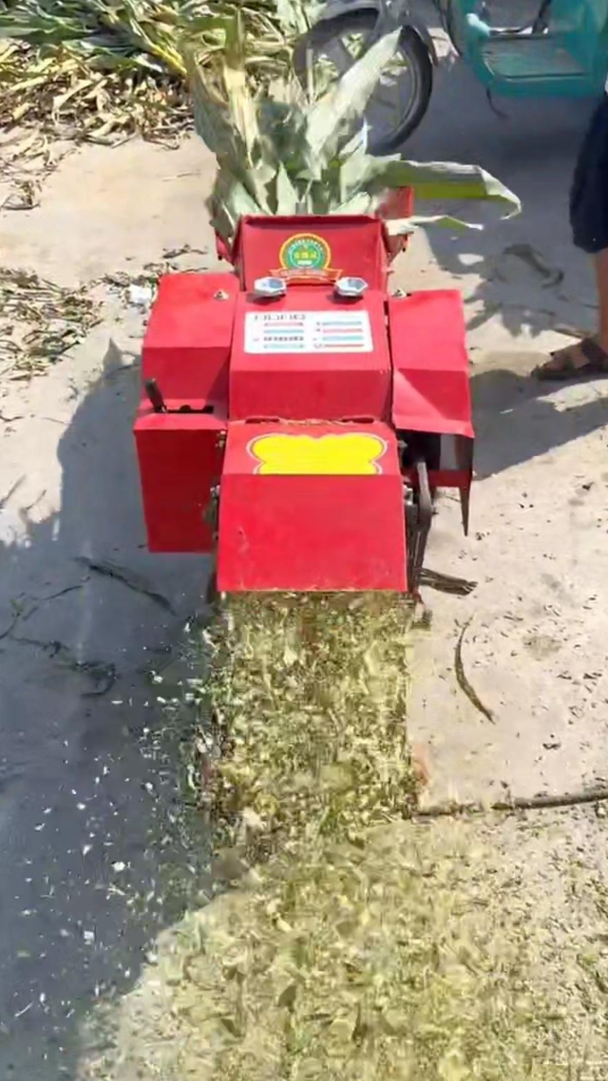 家用铡草机干湿两用粉碎揉丝一体机小型切碎草机打草机养殖喂牛羊