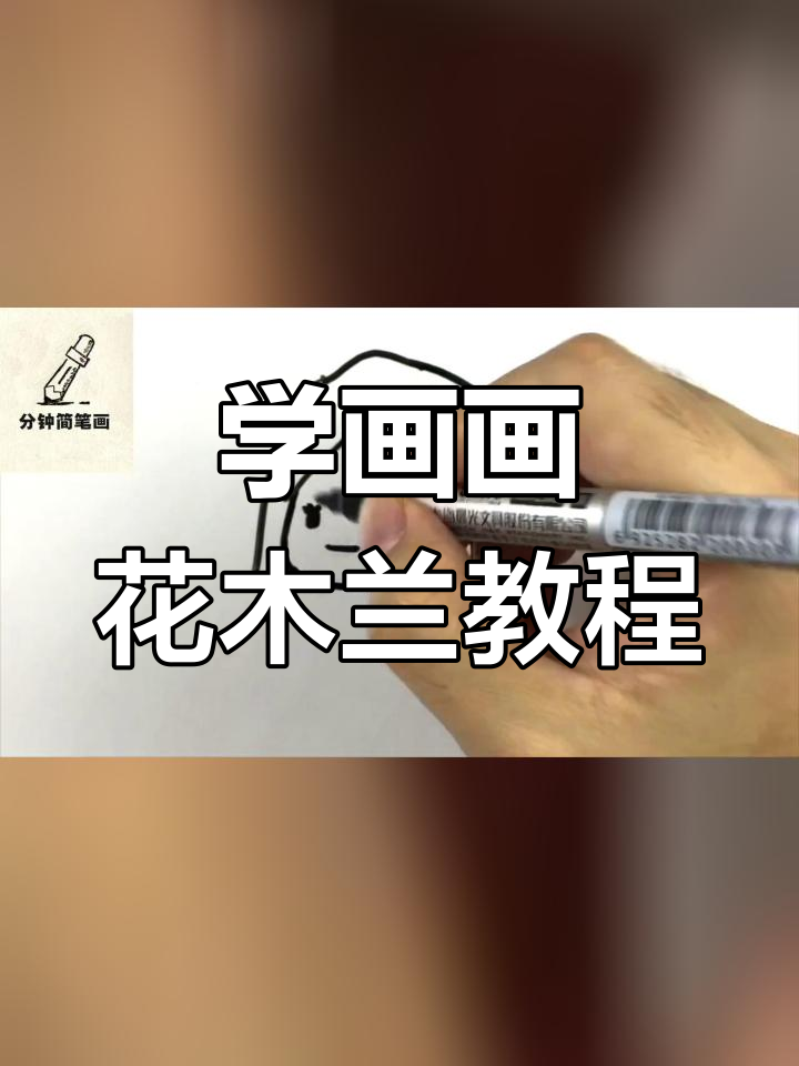 花木兰画画教程图片图片