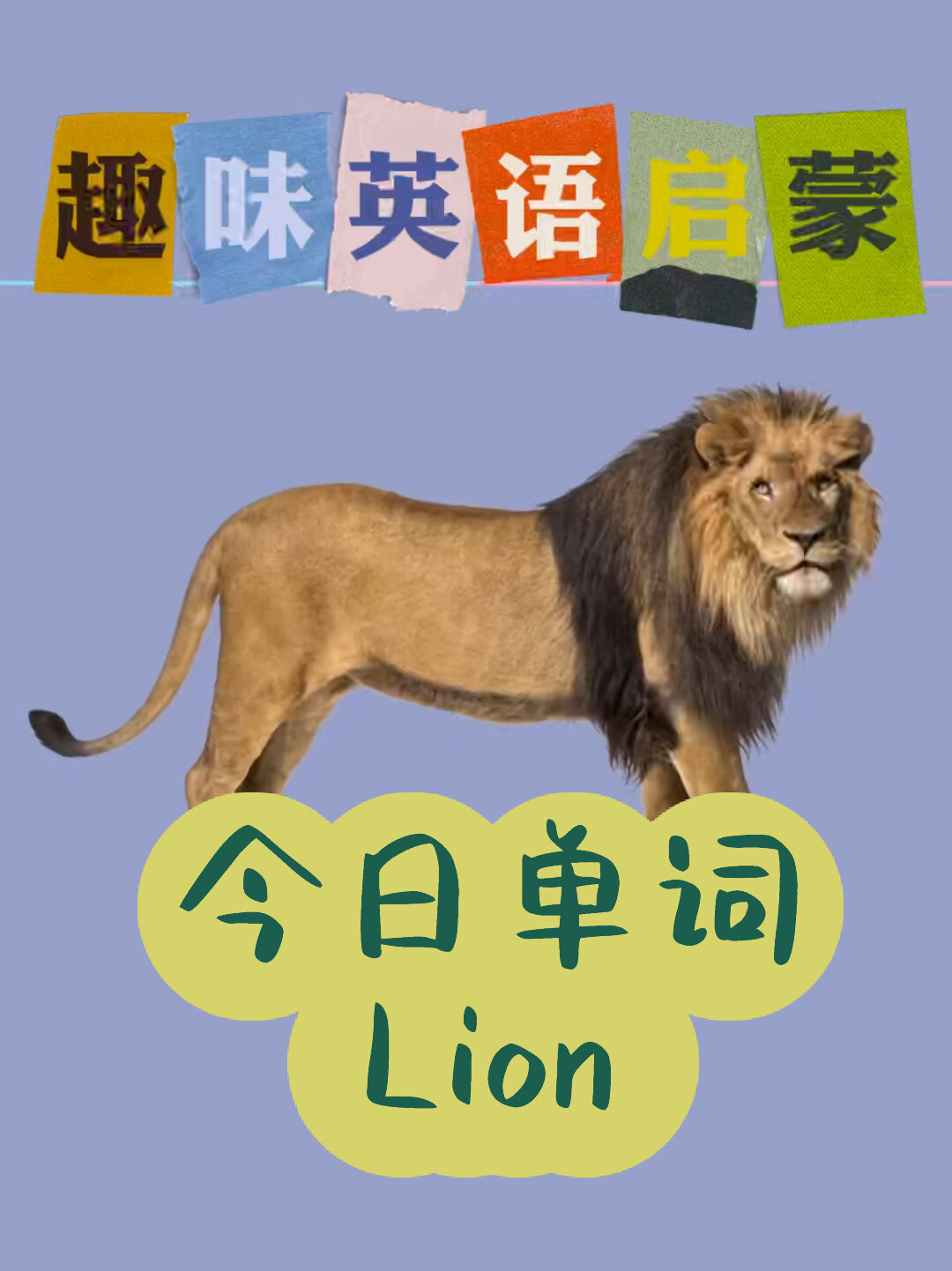 今日单词lion