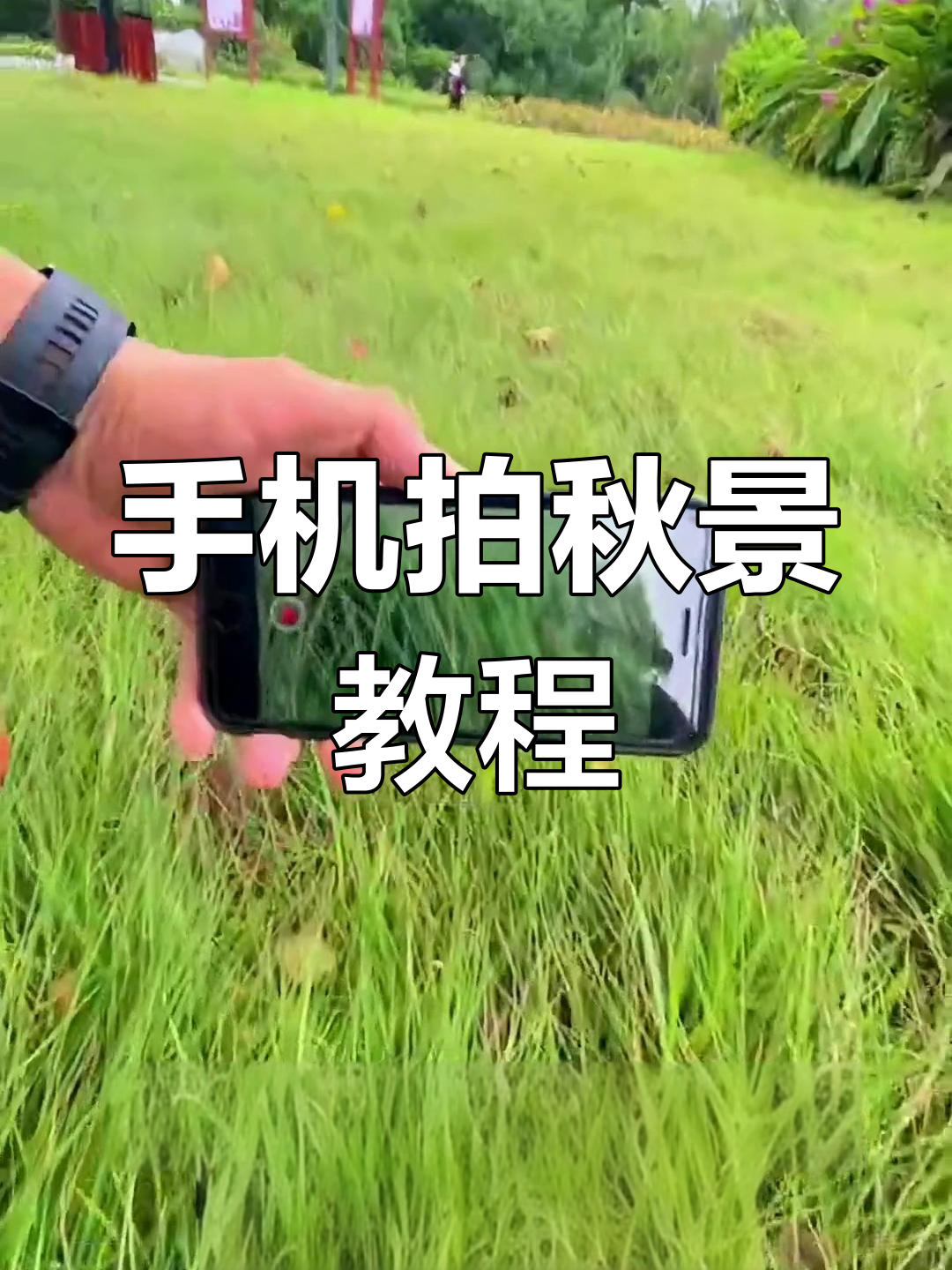 手机摄影拍摄教程图片，技巧大全