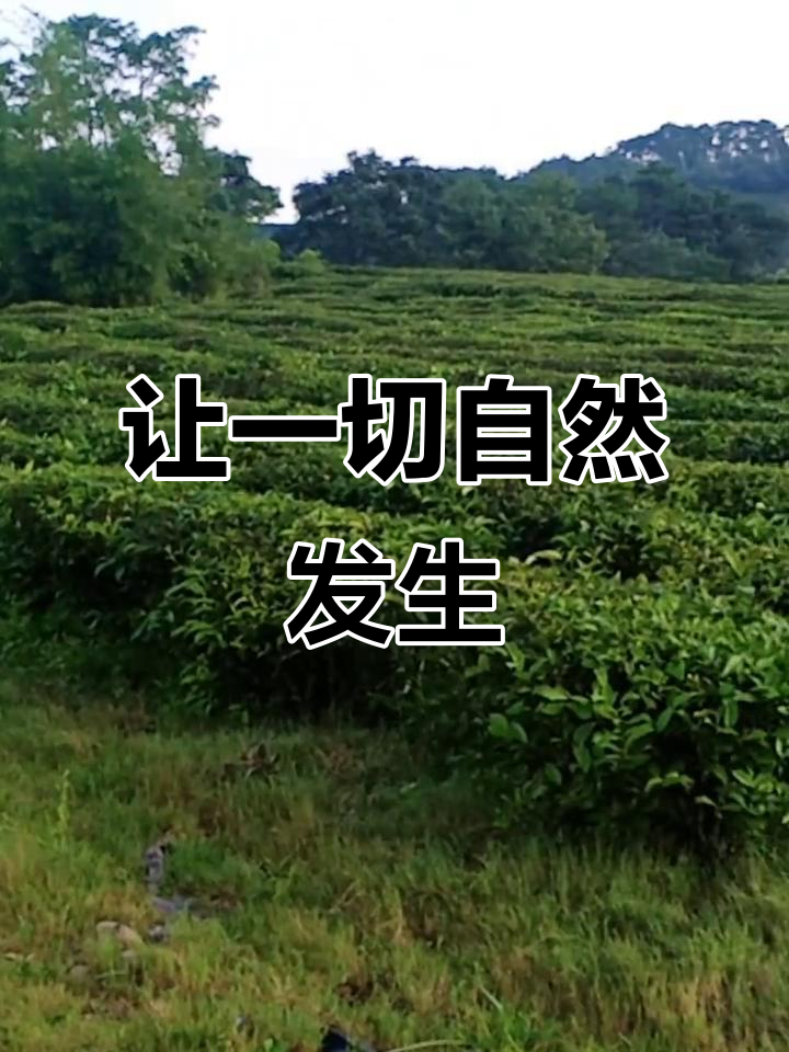 顺其自然,随遇而安