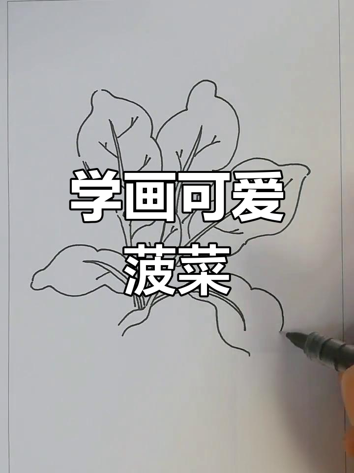 画出可爱的菠菜,简单又有趣!