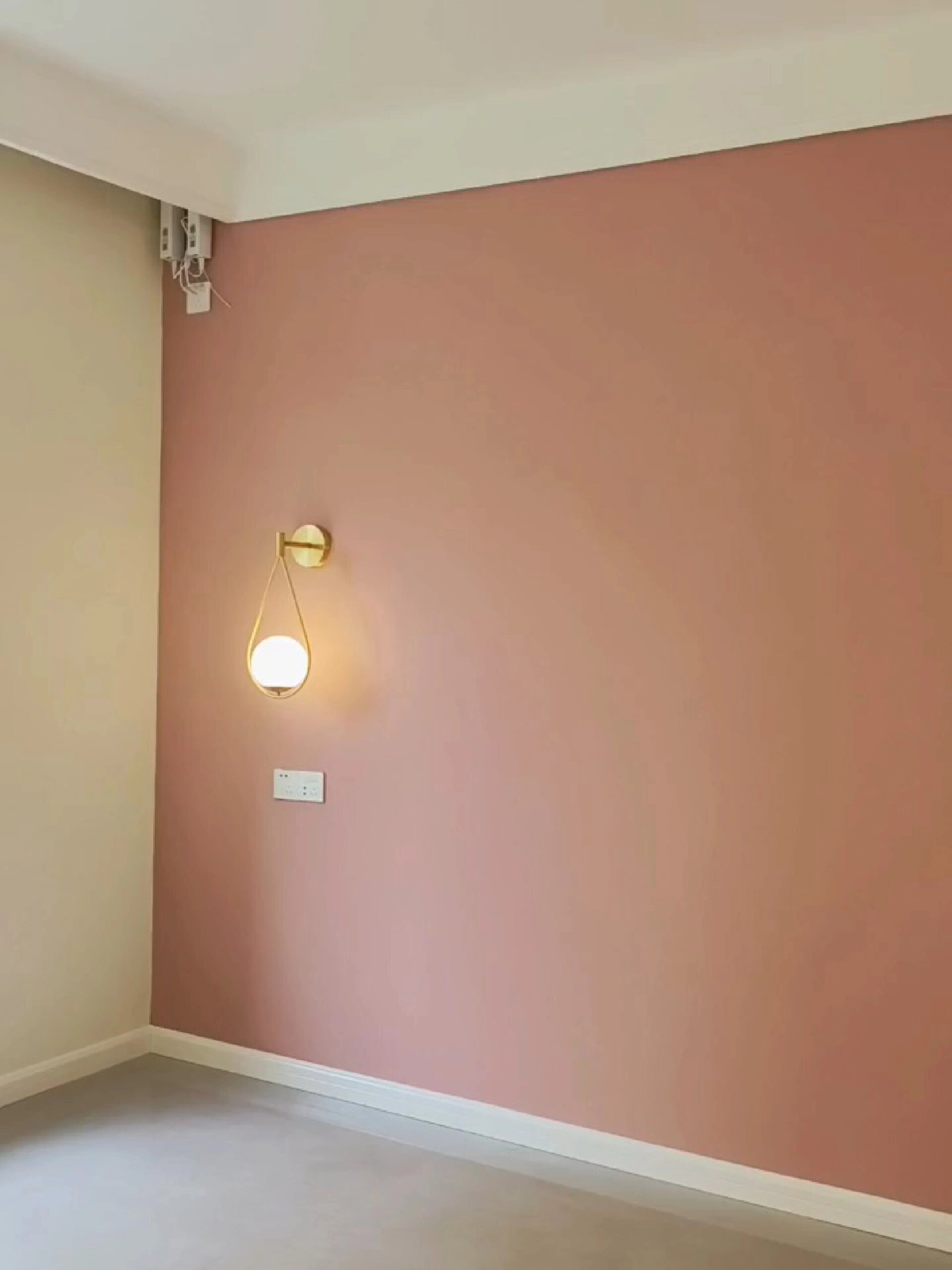 杏子灰褐珊瑚还不过时吧