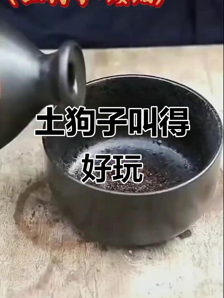 土狗子蝼蛄的奇妙叫声,太有趣了!