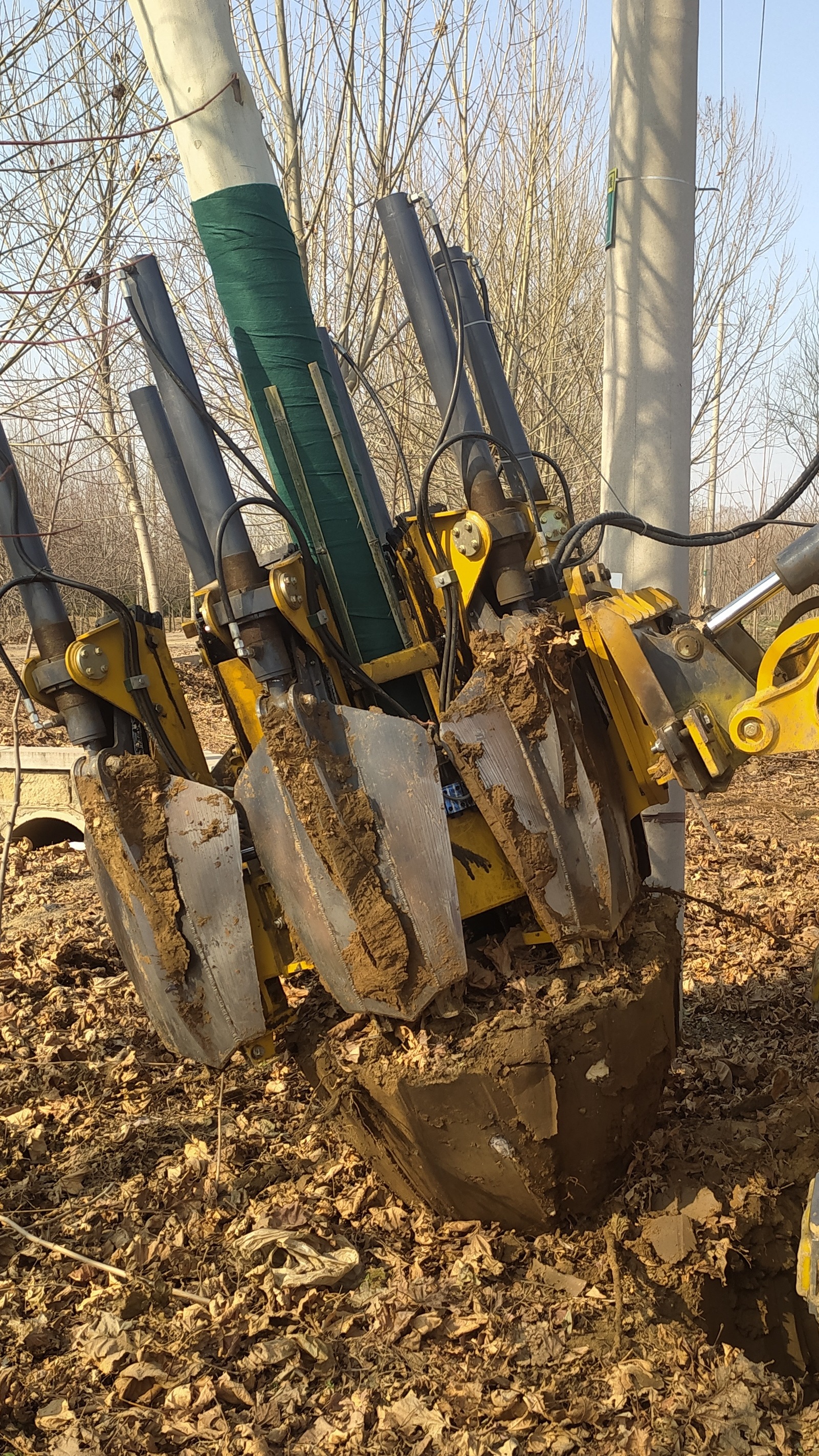 60挖机挖树机 80挖机挖树机 园林挖树好帮手 移栽树木