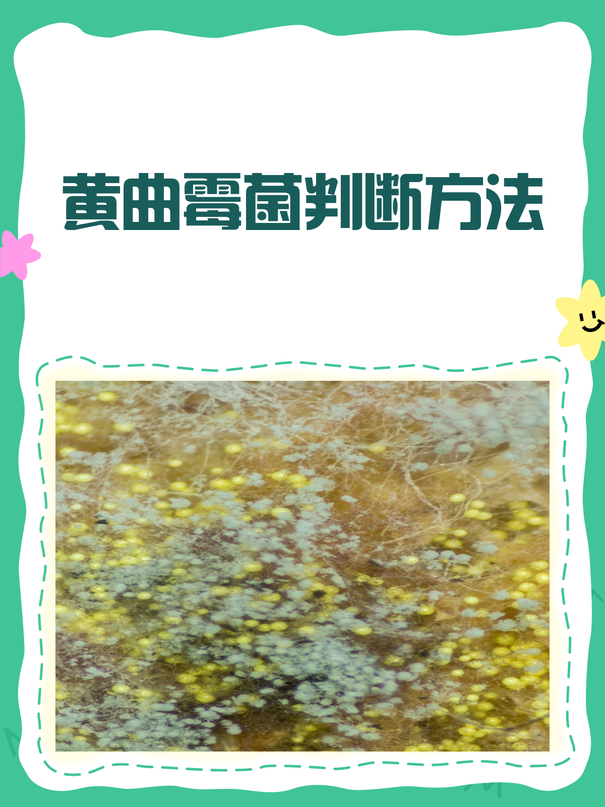 黄曲霉菌大侦探!这样判断准没错!