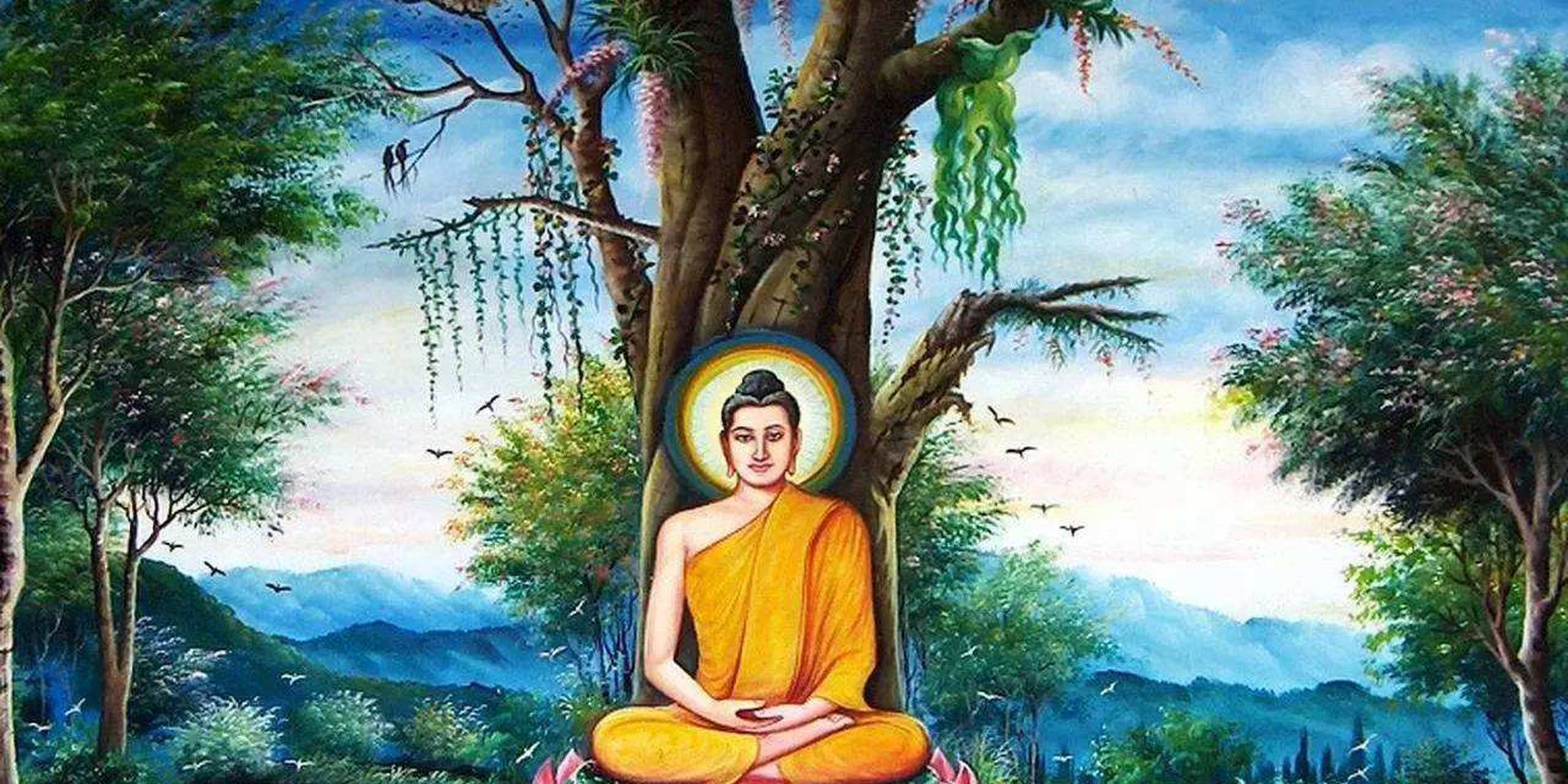 佛法是佛陀在菩提树下觉悟到的,能够让人彻底解脱的方法.