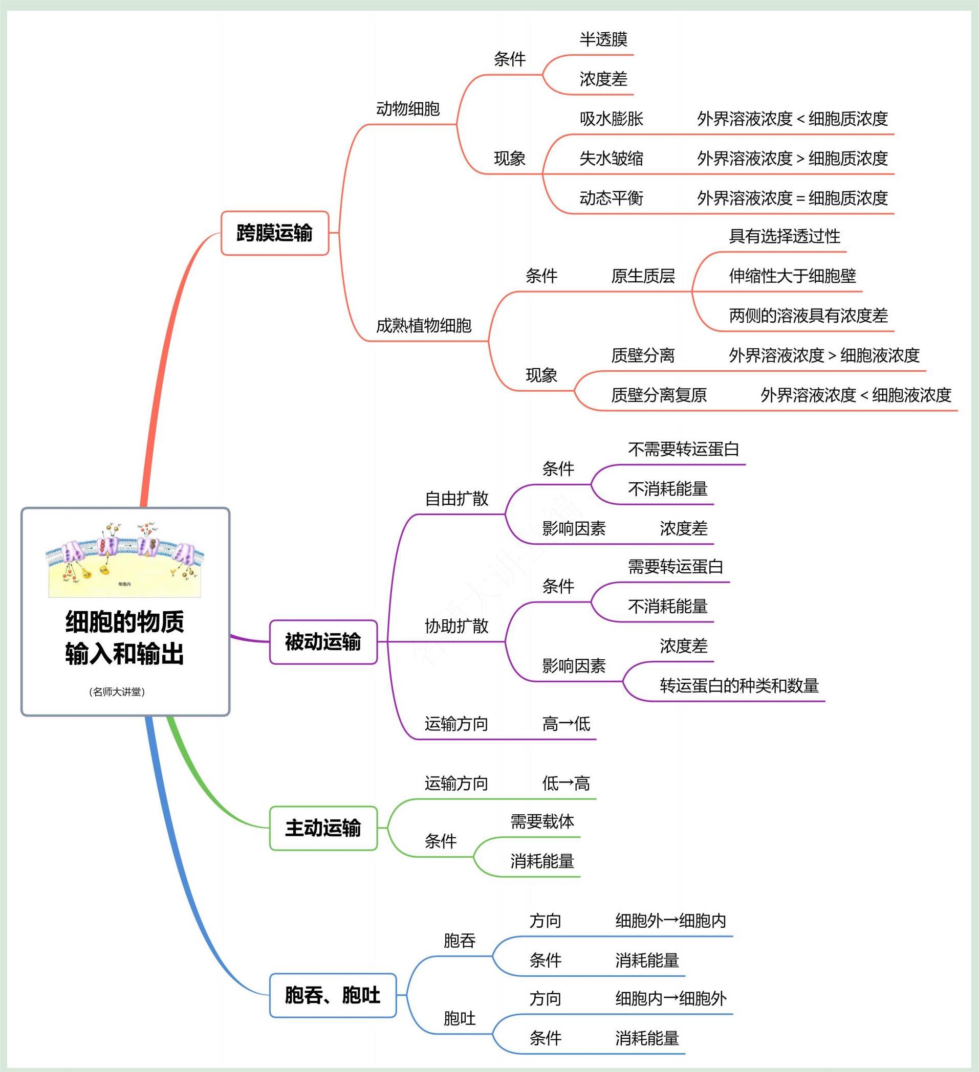 高考生物细胞结构知识点(高一生物细胞结构知识框架)