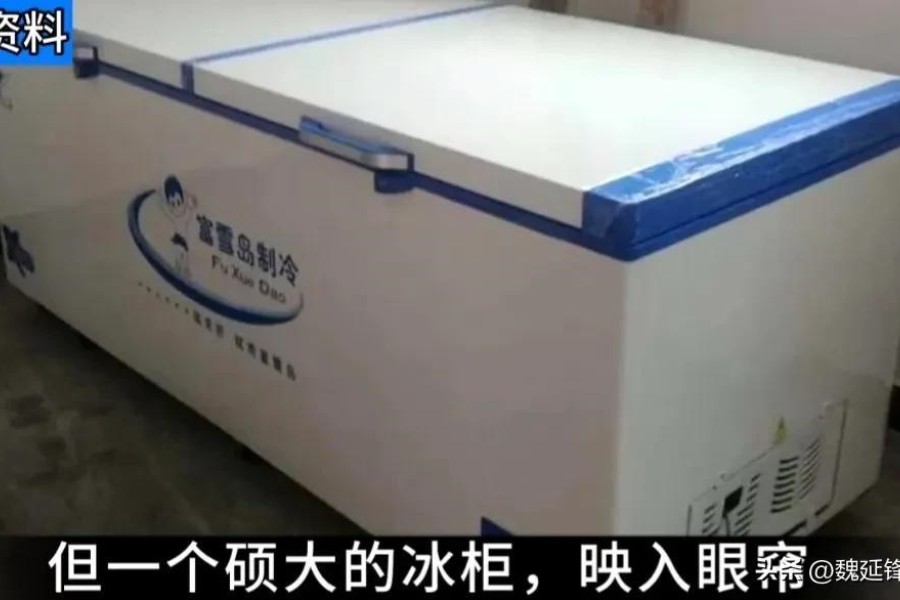 福永冰柜藏尸案始末:母子三人探望丈夫,不曾想被直接扔入冰柜内