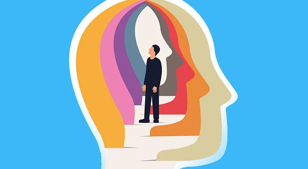 人格——对特质理论和能力取向的个人看法