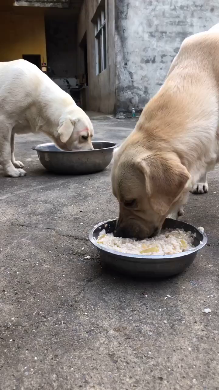 大盆吃饭,还要减肥,呵呵