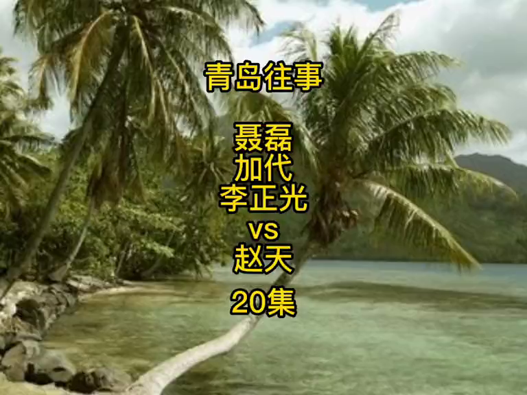 聂磊加代李正光强强联合vs赵天20集江湖故事人物故事评书