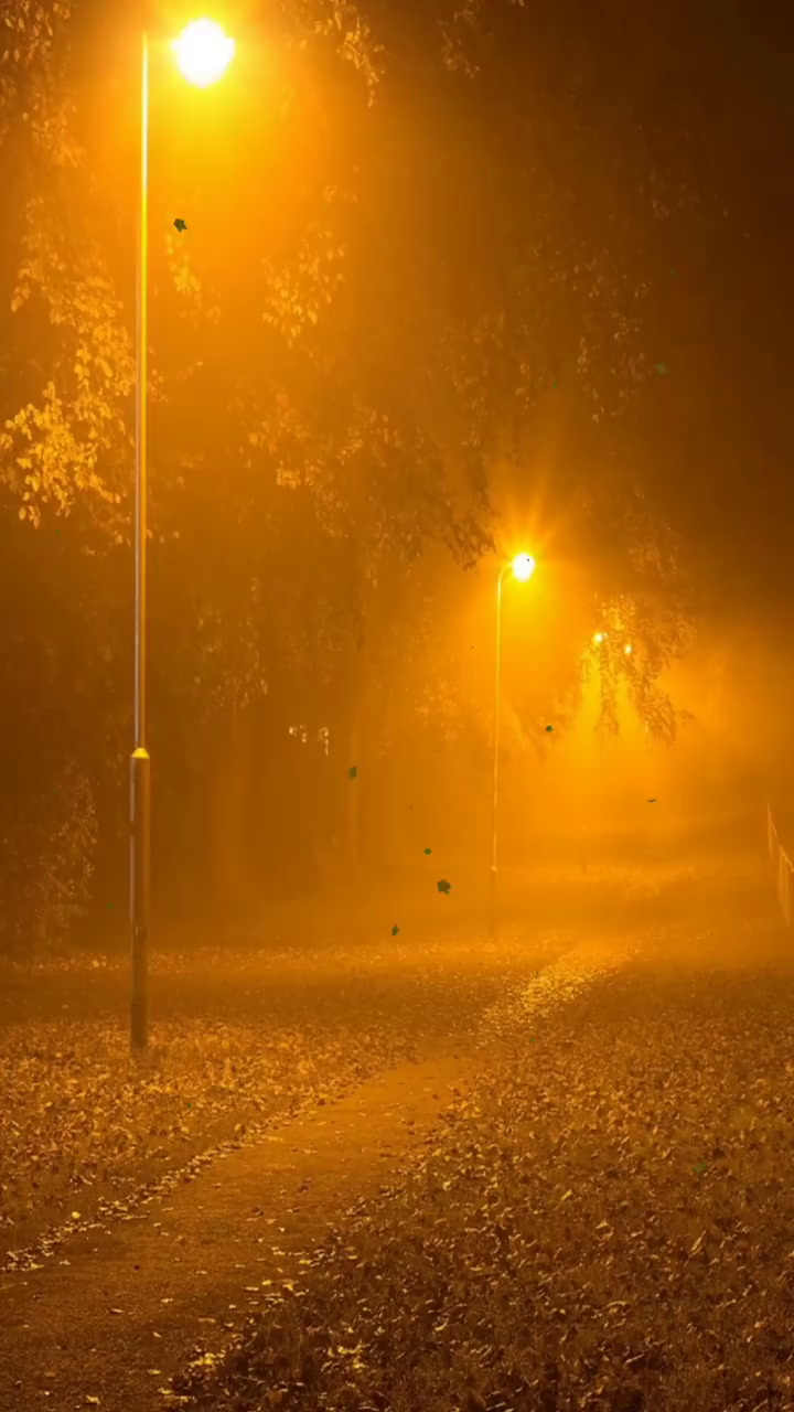 喜欢夜灯下的温柔,喜欢一个人在路灯下安静的坐着,路灯多半是暖色的