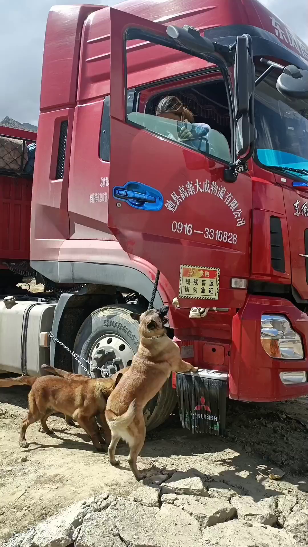 狼牙公主好多了,发财就是吃胖了坏了个寂寞