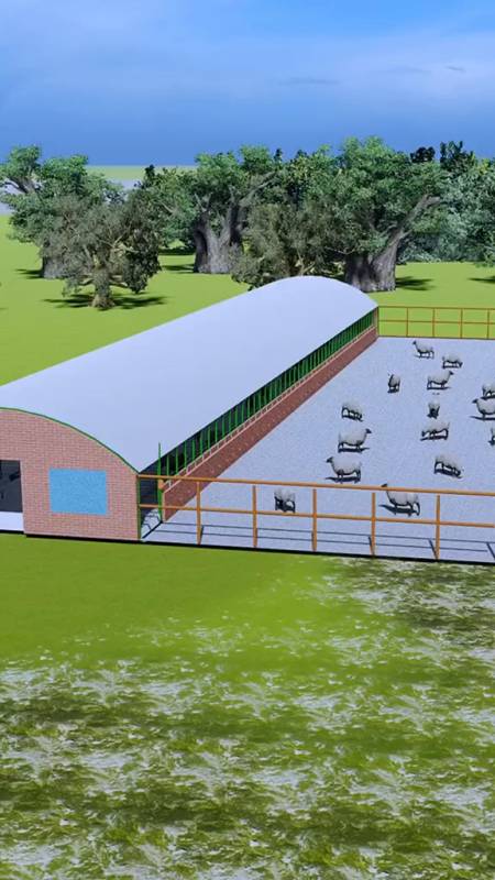 羊圈新农村计划2022养羊人农村养羊养殖-度小视