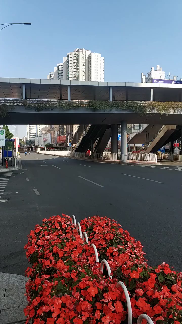 真的好美啊,广州天河岗顶