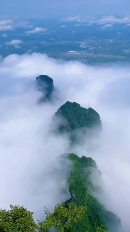 愿疫情早日过去才能感受不畏浮云遮望眼自缘身在最高层的意境