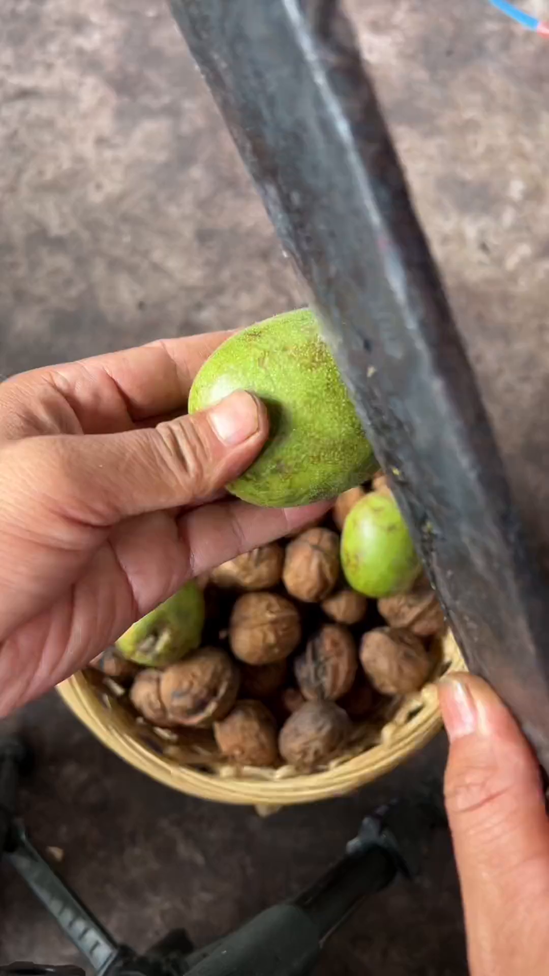 四川大凉山老树鲜核桃了解一下-度小视