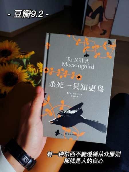 三分钟重读经典杀死一只知更鸟