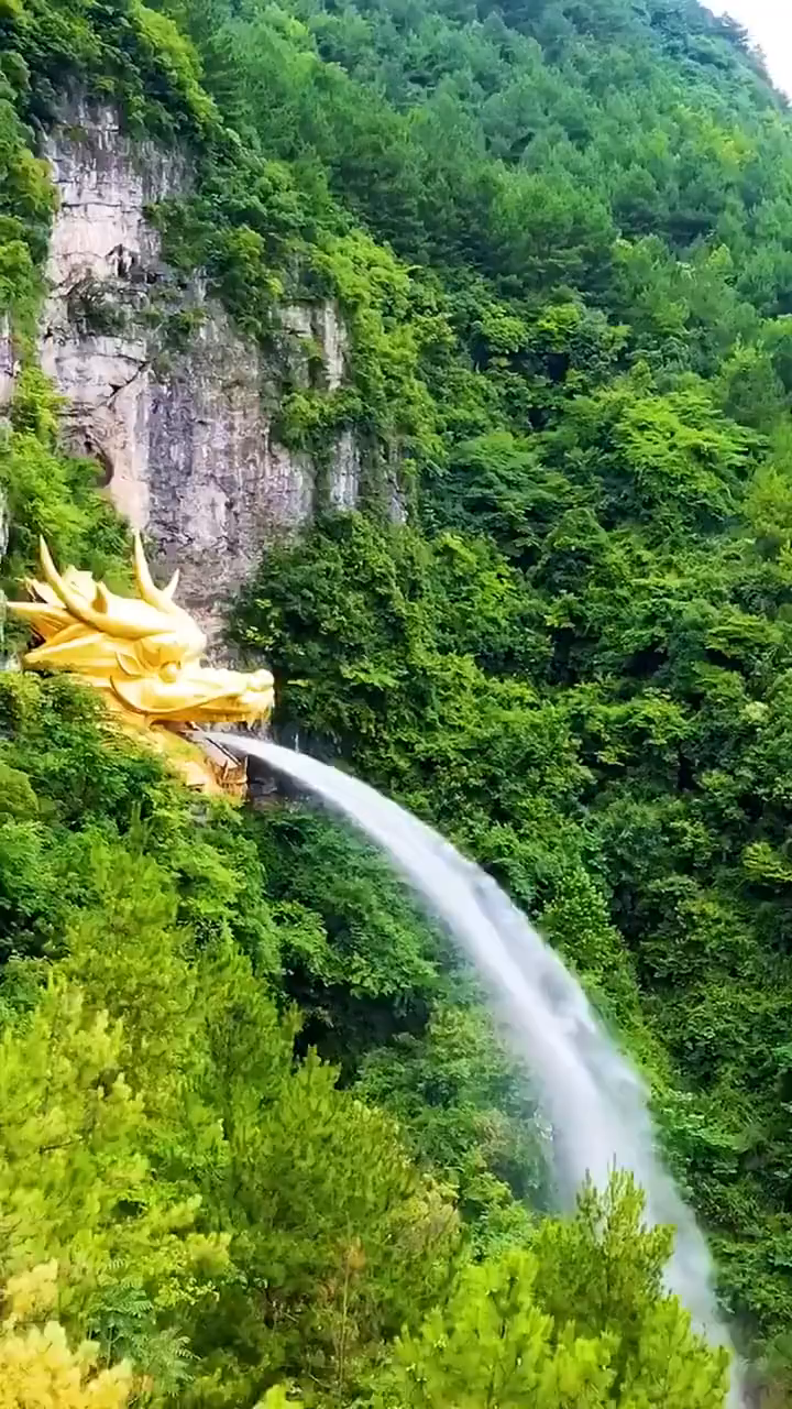 二月二,龙抬头,金龙吐水,全年好兆头!财源滚滚,见者有福!