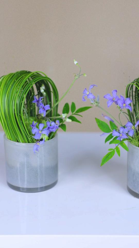 刚草铁线莲创意插花设计不必借光而行你我皆是星辰