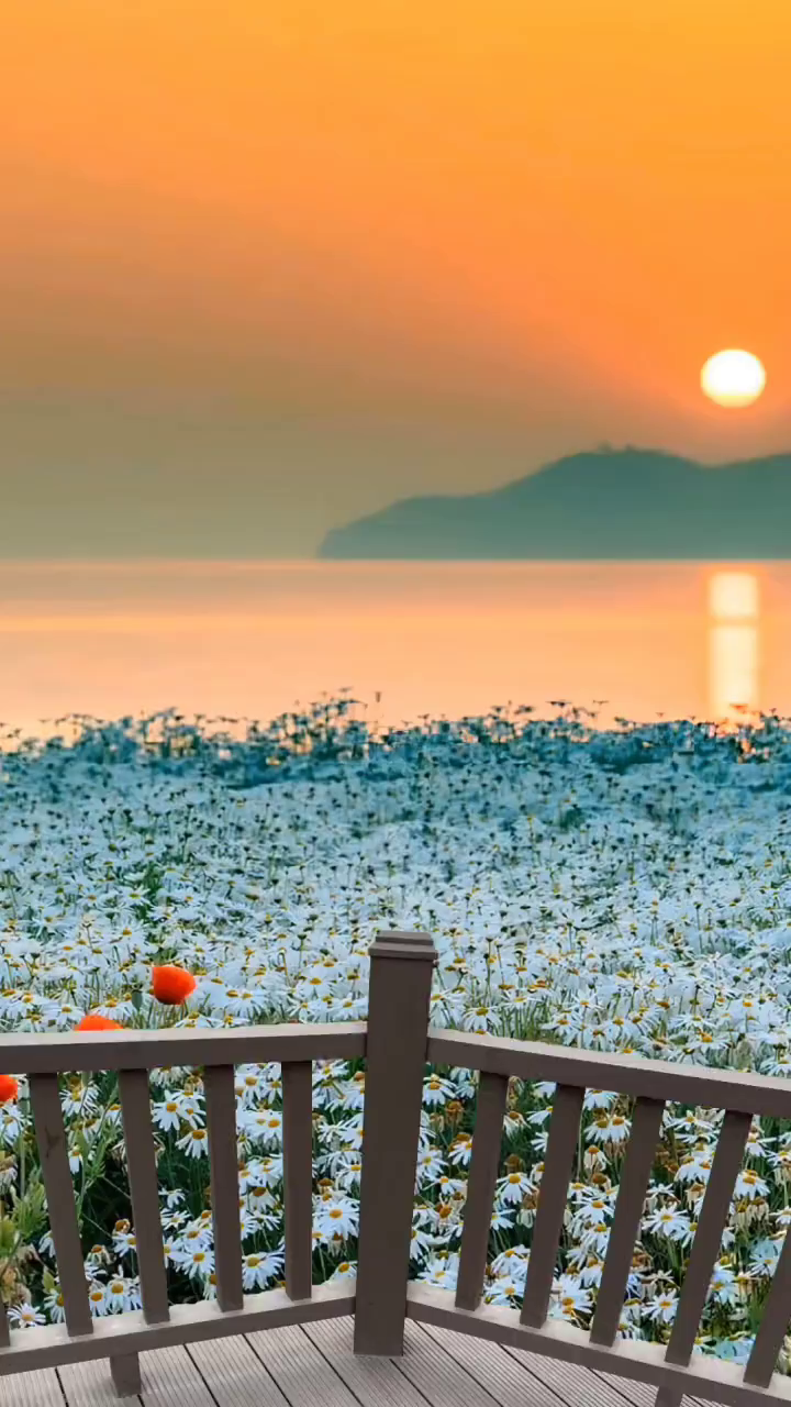 最治愈人心的,便是这世间美景!