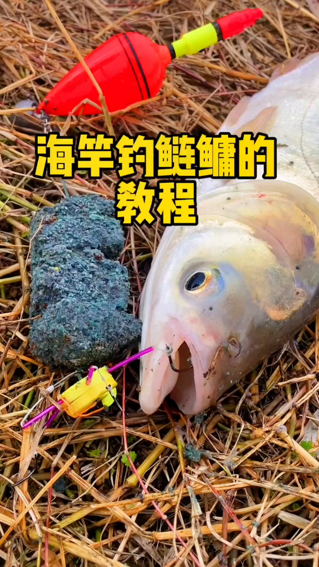 海竿钓鲢鳙的实用教程,你学会了吗?-度小视