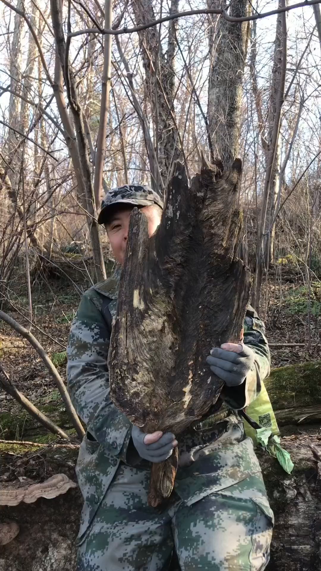 琥珀木,经过几十上百年沉化而成!