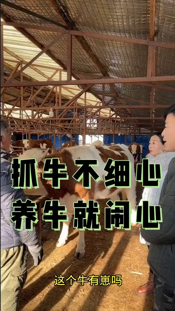 教你回农村养殖创业(农村养殖创业的好项目)