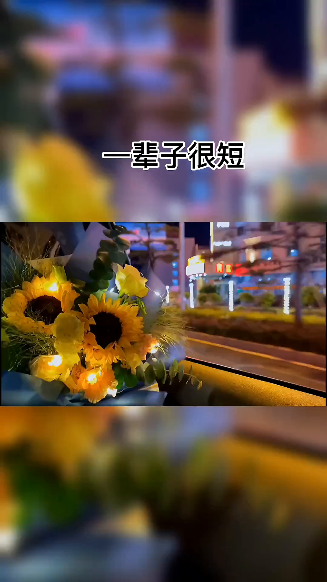 一辈子很短,一定要和舒服的人一起舒心地过