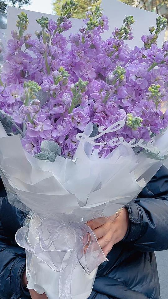 紫气东来,高贵优雅大气的紫罗兰花束,情人节-度小视